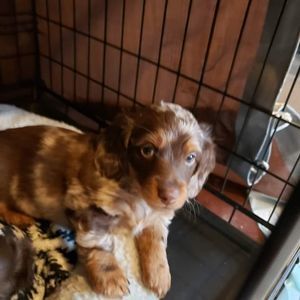 Meet your Posher, Jean